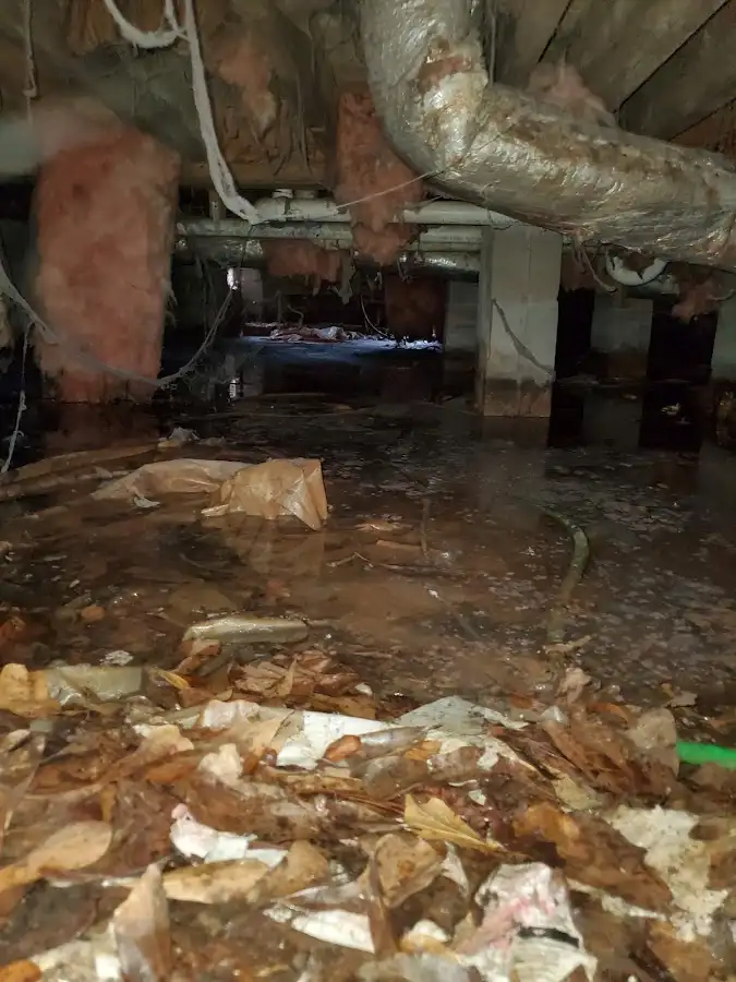 Crawl space flood assessment for Leak Detection & Repair in Joshua